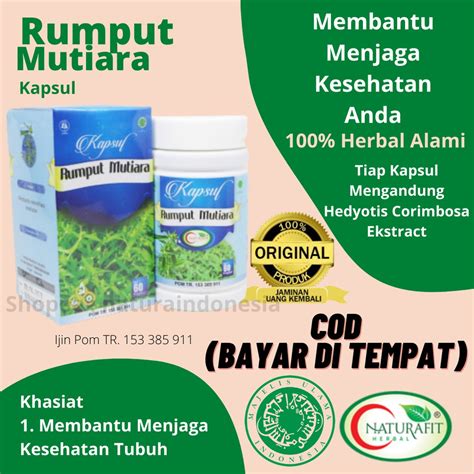 Jual Kapsul Rumput Mutiara Obat Daya Tahan Tubuh Obat Kesehatan Tubuh