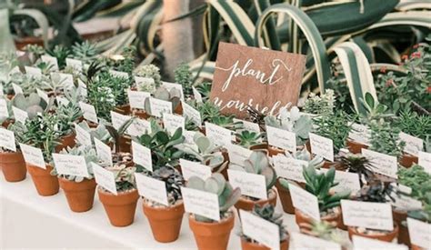 Fun And Eco Friendly Wedding Favors Ideas For A Sustainable Celebration