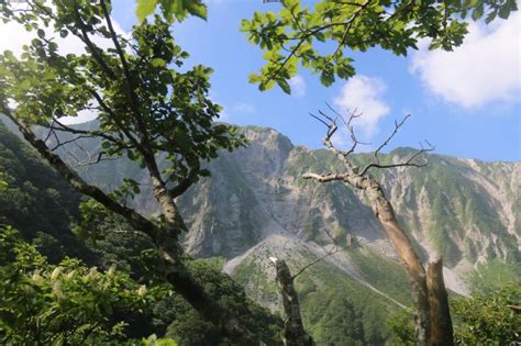 伯耆大山 三鈷峰 鳥取県 登山レポート 登山・アウトドア用品の専門店【好日山荘】