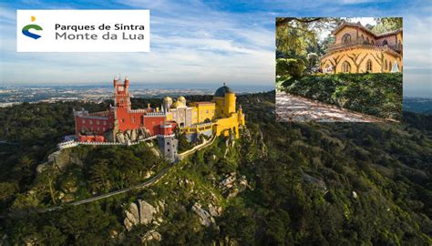 Parques De Sintra Mais Visitantes Em