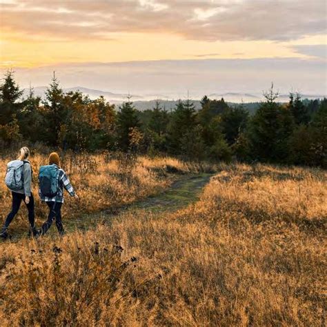 Naturparkführungen 2023 by Sauerland Tourismus Issuu