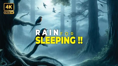 Minutes Of Rain Sounds For Sleeping Quick And Tranquil Rainfall