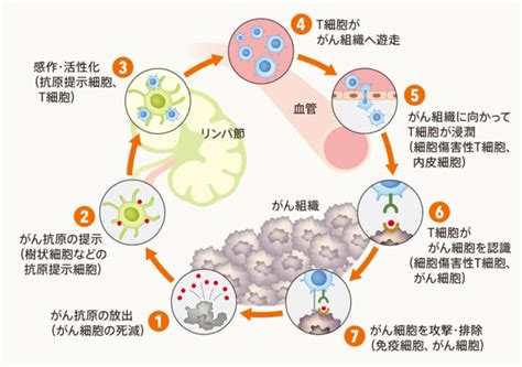 003 光がん免疫療法 一般社団法人日本先制臨床医学会