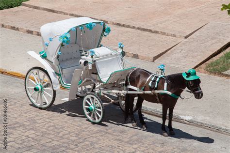 Caballo Carruaje Stock Photo | Adobe Stock