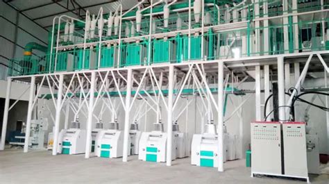 High Efficiency Tonnes Mealie Meal Maize Flour Mill