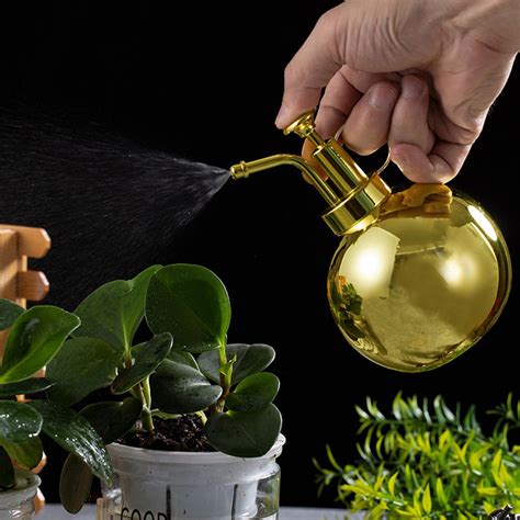 Giligiliso Clearance Plant Spray Bottle Stainless Steel Watering Can For Indoor Plants Succulent