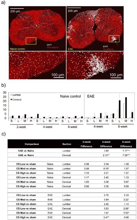 Spinal Cord Pathology In Eae Mice Exposed To Various Concentrations Of