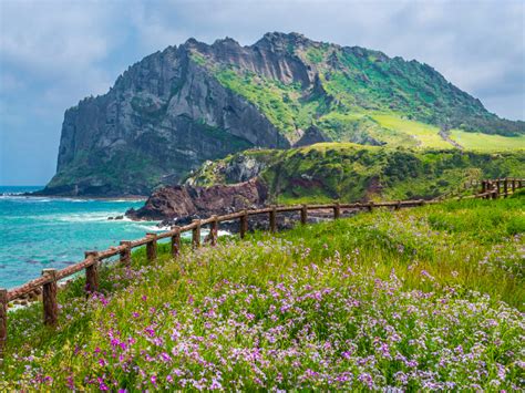 The Most Instagram Worthy Places in Jeju - Gina Bear's Blog