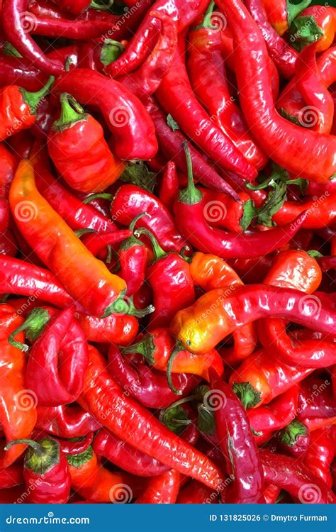 Many Of Red Ripe Peppers In A Pile Food Background Vertical Sh Stock