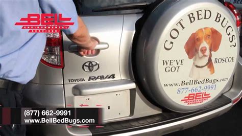 Wheres Roscoe The Bed Bug Dog Bell Environmentals Commercial