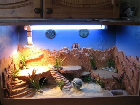 Desert Tank Bearded Dragon Vivarium Bearded Dragon Reptile Terrarium