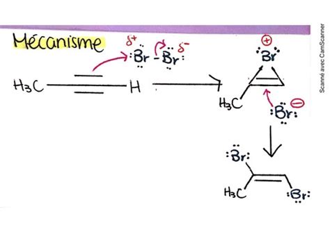 Chimie Organique Flashcards Quizlet