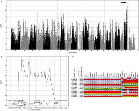 Frontiers A Cellular Genetics Approach Identifies Gene Drug