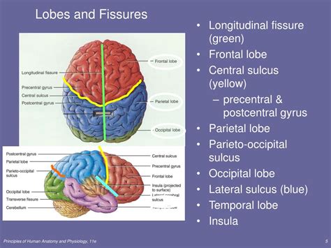 Ppt Chapter 14 Part 2 Powerpoint Presentation Free Download Id1704563