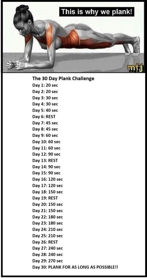 The 30 Day Plank Challenge Great For The Core In 2024 Workout