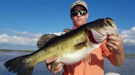 Lake Marion Fishing Tips And Tricks For Success