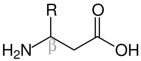 Difference Between Alpha and Beta Amino Acid | Compare the Difference ...