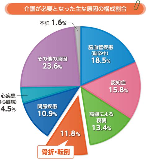 骨折と要介護、寝たきりの関係は？｜骨粗しょう症で起きる骨折って？｜骨粗しょう症｜organon