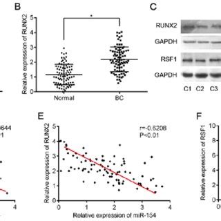 An Inverse Correlation Between Rsf Runx And Mir Expression In Bc