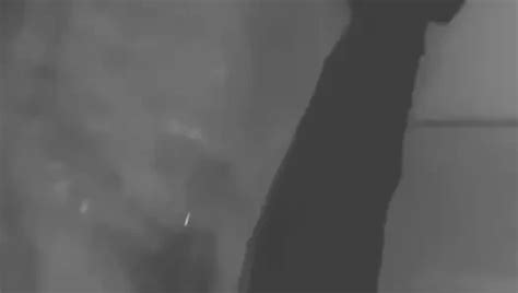 Mummification Porn Videos Gay XXX 2024 XHamster