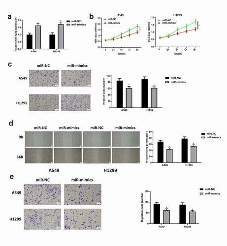 Full Article Mir 133b Suppresses The Proliferation Migration And