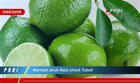 Temukan Manfaat Jeruk Nipis Untuk Tubuh Yang Bikin Kamu Penasaran