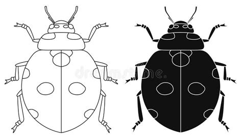 Ladybug Body Outline