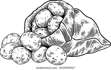 Potato Sack Sketch: Over 246 Royalty-Free Licensable Stock Vectors ...