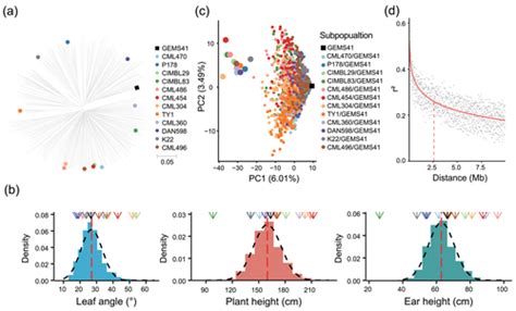 Genetic Dissection Of Maize Plant Architecture Using A Novel Nested