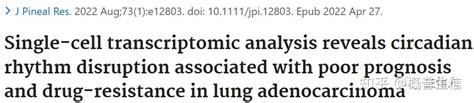13 昼夜节律相关的单细胞预后思路分享 知乎
