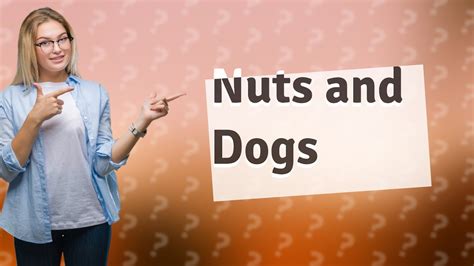 Are Any Nuts Toxic To Dogs Youtube