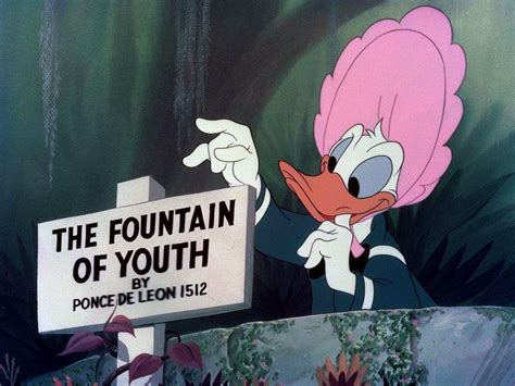 Don’s Fountain of Youth (film) - D23