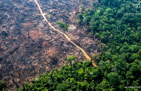 Sistema De Alertas De Desmatamento Sad Mata Atl Ntica Identifica Mais