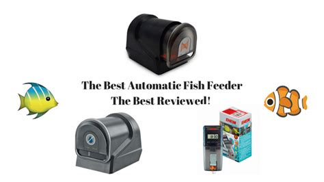 The Best Automatic Fish Feeders For Tested And Reviewed