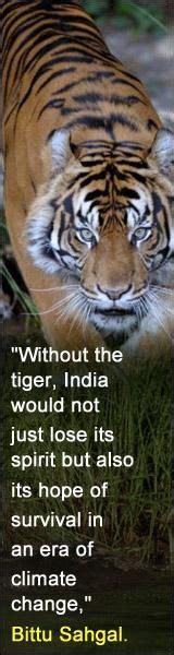 Save Tiger Quotes. QuotesGram