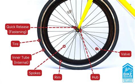 Bike Parts Diagram - Main, Front, Wheel Anatomy Of Bicycle