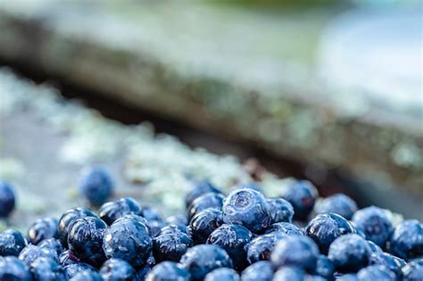 Un Puñado De Arándanos Maduros Frescos Con Gotitas De Agua Después De