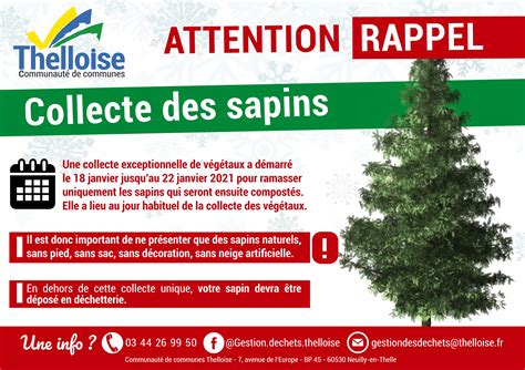 Collecte Des Sapins