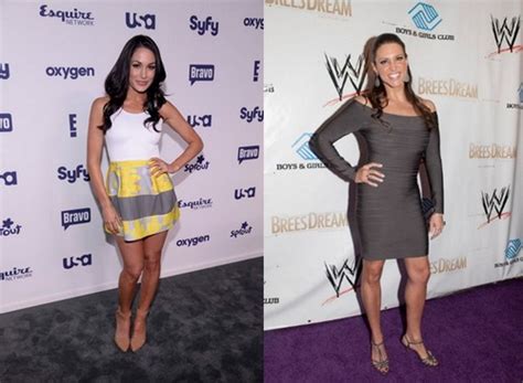 Brie Bella vs Stephanie McMahon SummerSlam 2014 - Two Potential Swerves! | Celeb Dirty Laundry