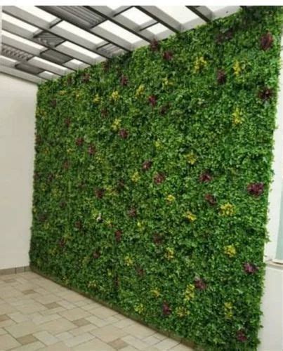 Artificial Green Wall Development Service At Rs 500 Sq Ft In Cuttack