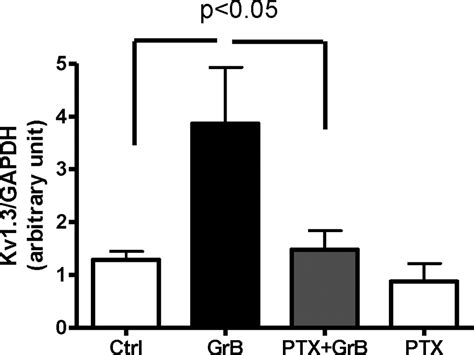 Activated T Cells Inhibit Neurogenesis By Releasing Granzyme B Rescue