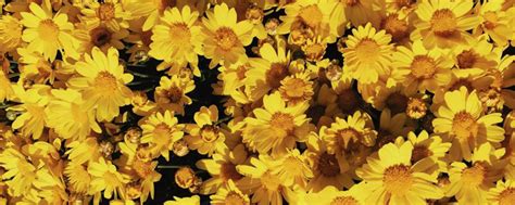 Sunshine ceramics 2025 | ВКонтакте