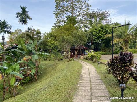 Sepilok Forest Edge Resort Review: Everything You Need To Know About Staying Here - Dive Into ...