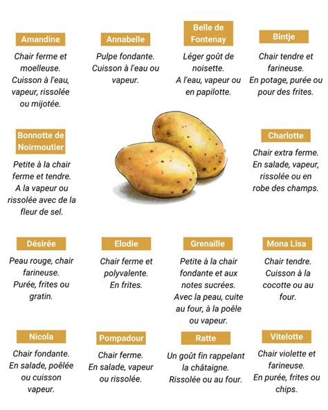 Recettes Originales Souffl Es Par Les Chefs Pour Cuisiner La Pomme