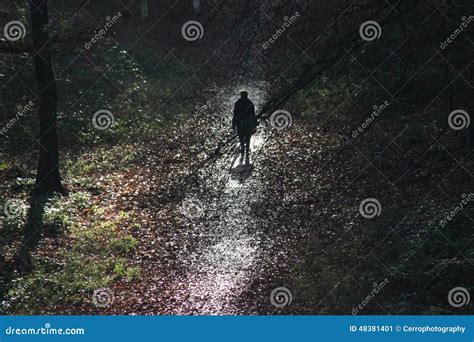 A Woman Walks Alone In A Dark Forest Royalty-Free Stock Photography ...