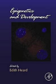 Epigenetics and Development, Volume 104 - 1st Edition