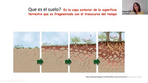 Tipos De Erosi N Del Suelo