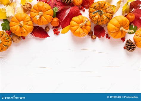 Festive Autumn Pumpkins Decor With Fall Leaves Berries Nuts On White