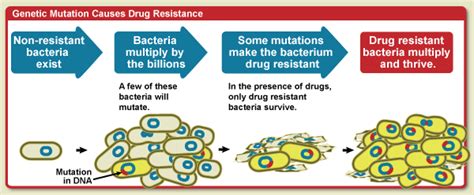 Bacteria develop multi-drug resistance "EMPOWER IAS" | Empower IAS