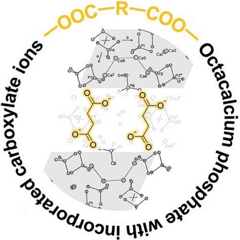 Full Article Octacalcium Phosphate With Incorporated Carboxylate Ions